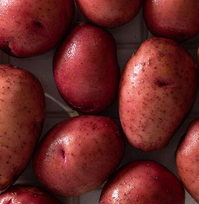 The not-so-humble red skin potato