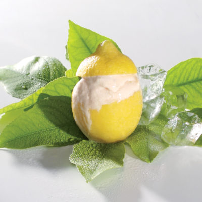 Limoncello-and-honeybush frozen yoghurt
