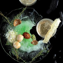 Honey and whisky sodas with teamarbled quails eggs and herb salt