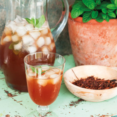 Honeybush and moroccan mint iced tea