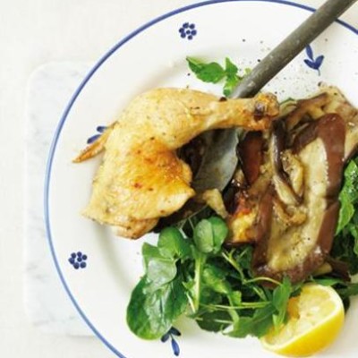 Hot fast-roast chicken and brinjal on greens