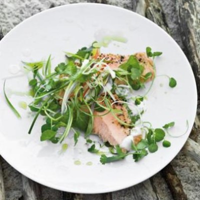 Hot-smoked norwegian salmon dressed with chilli and lemongrass infused coconut milk