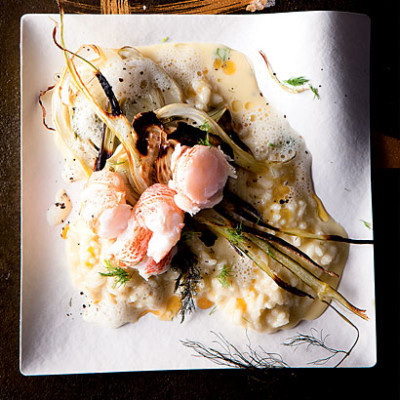 Langoustine risotto with roast fennel, avogolemono sauce and gold salt