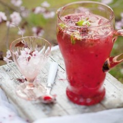 Minted sparkling rose water