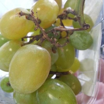 Now at Woolies: candy floss flavour grapes