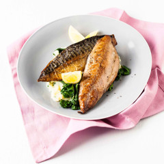 Pan-grilled mackerel fillets with spinach mash