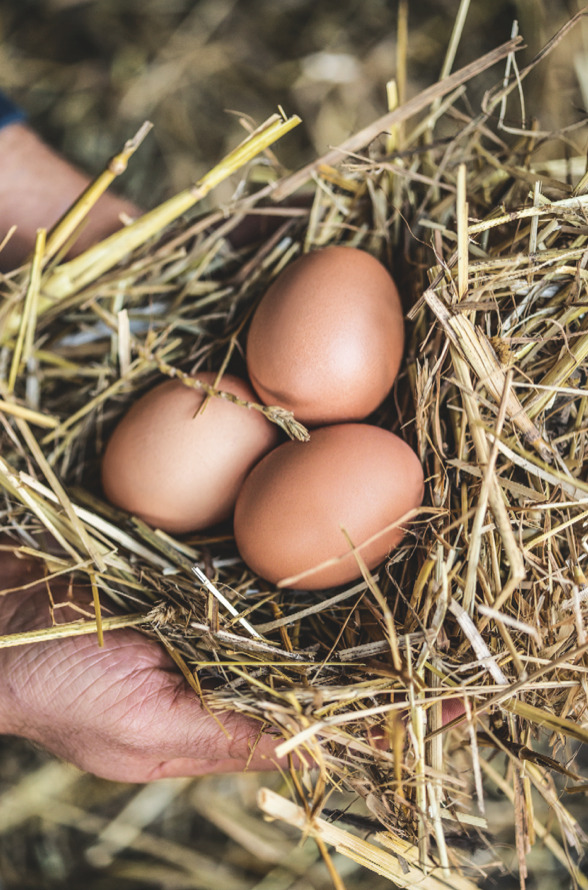 No joke cured yolk Woolworths TASTE