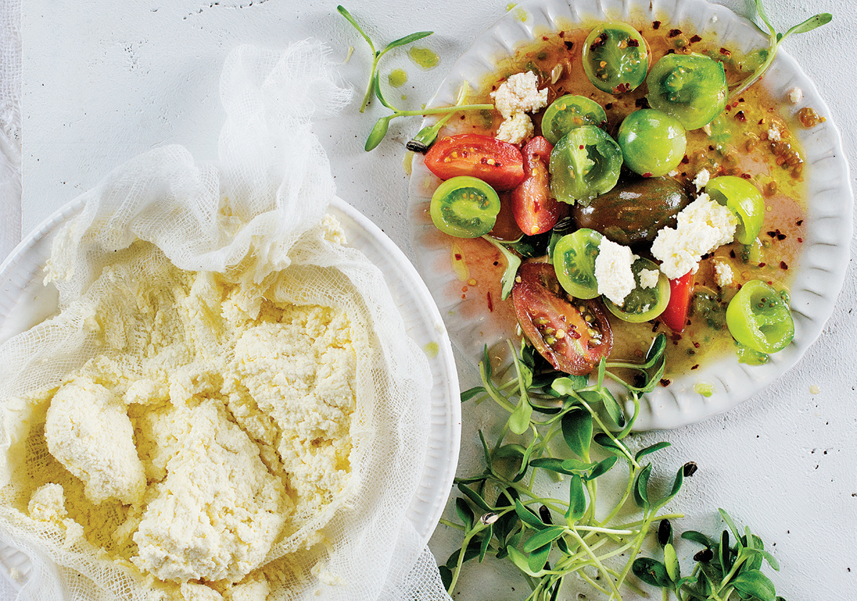 Home-made Ricotta cheese with exotic tomato salad | Woolworths TASTE