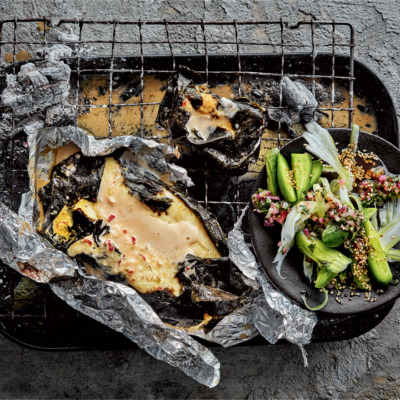 Braaied fish parcels with spicy coconut sauce and cucumber-and-fennel salad