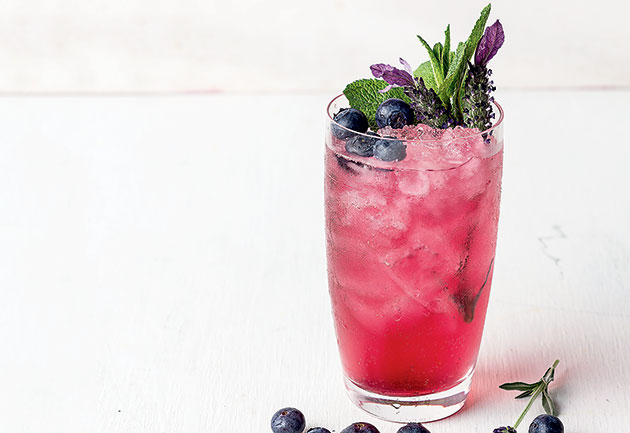 Lavender fizz cocktail