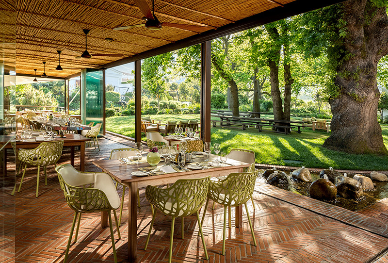 Celebrate summer at La Motte wine estate Woolworths TASTE