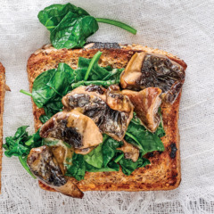 Creamy mushrooms and spinach on toast