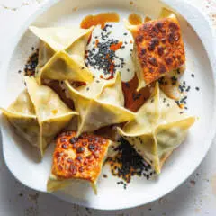 Easy Pot Stickers