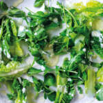 Green-salad-with-tahini-dressing