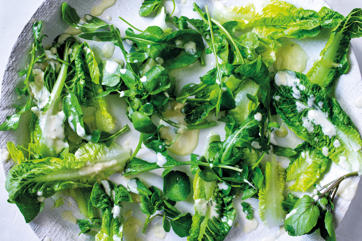 green salad with tahini dressing GREEN SALAD + LEMON TAHINI DRESSING