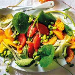Wild greens salad