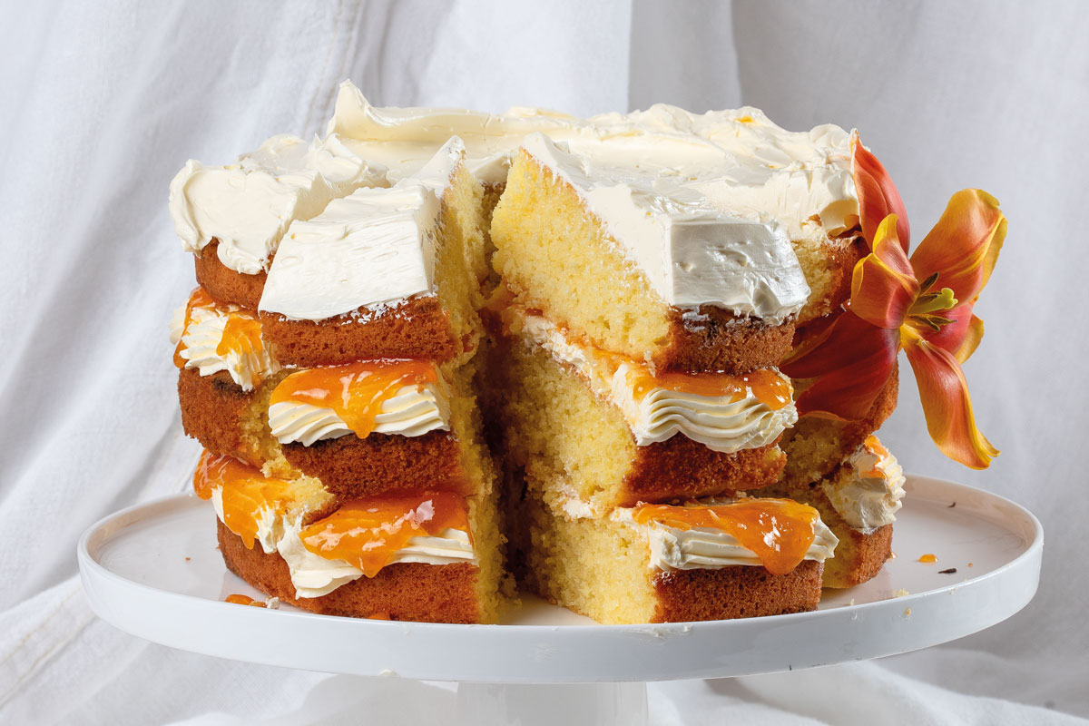 Hertzoggie cake recipe | Creamy Delight | WW TASTE