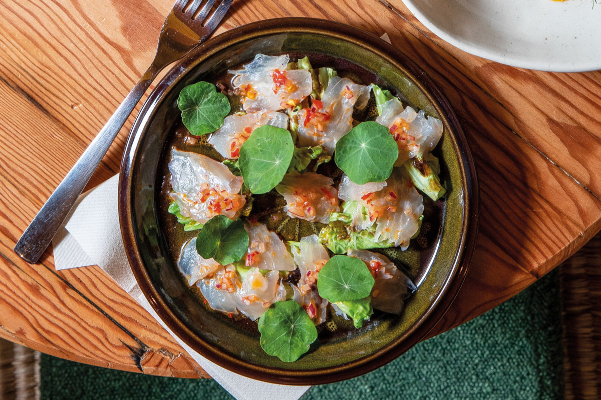 Snoek ceviche | Woolworths TASTE
