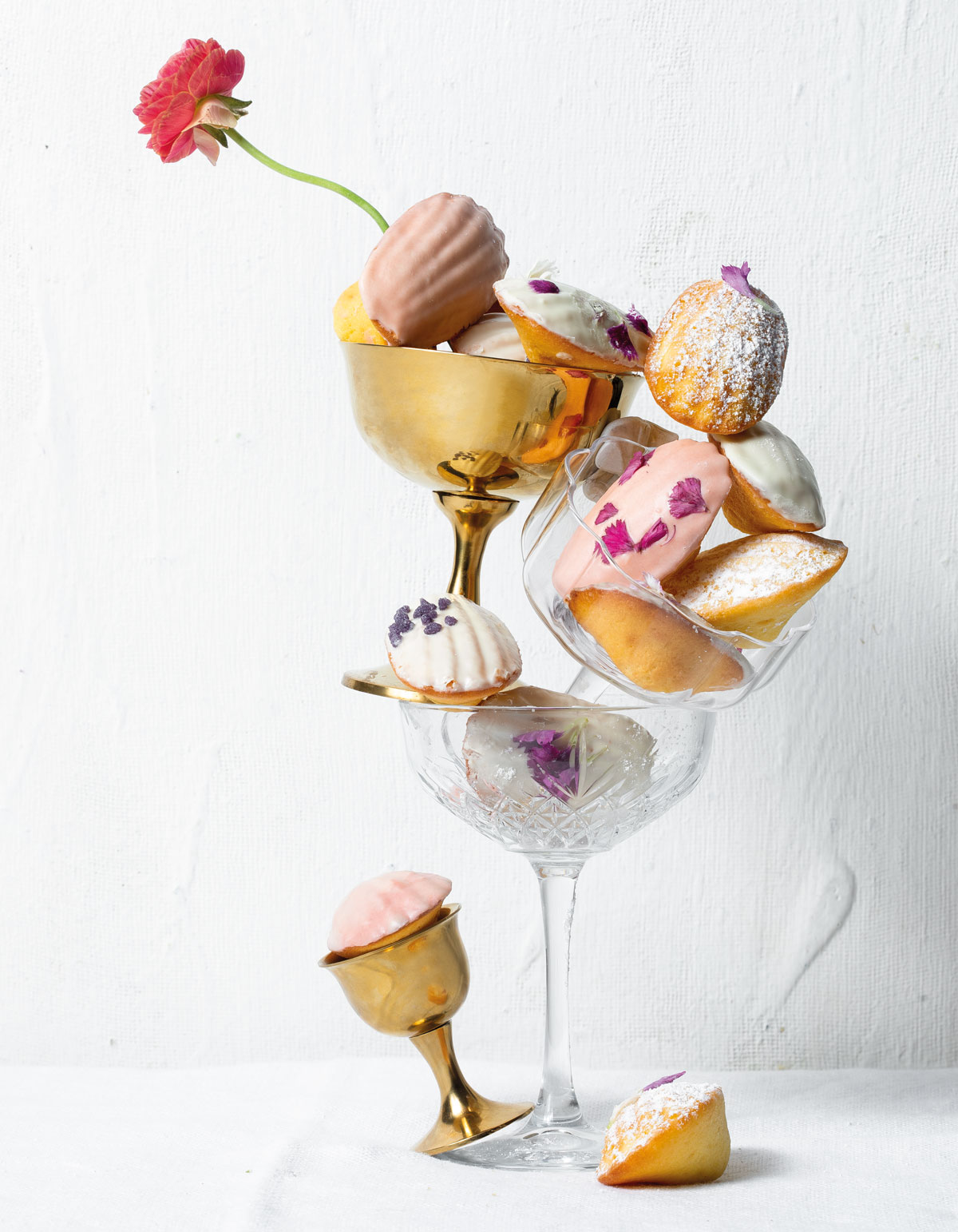 White chocolate madeleines Woolworths TASTE