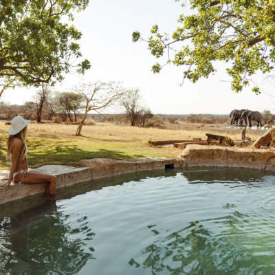Win a dream safari getaway for a family of four at Last Word Madikwe worth R60 000