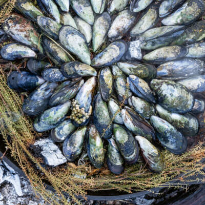 Fynbos-smoked mussels