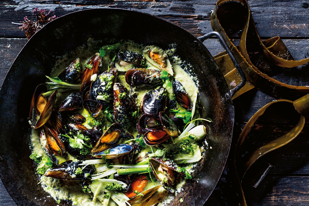 Mussels in fennel and coconut broth recipe | Wolworths TASTE