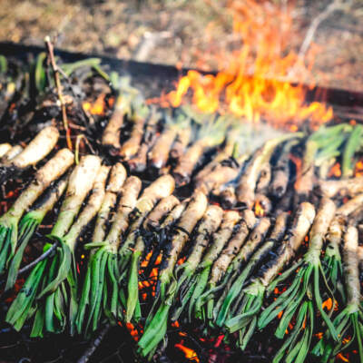 Calçotadas: What to know about Catalonia’s tasty vegetarian barbeque tradition