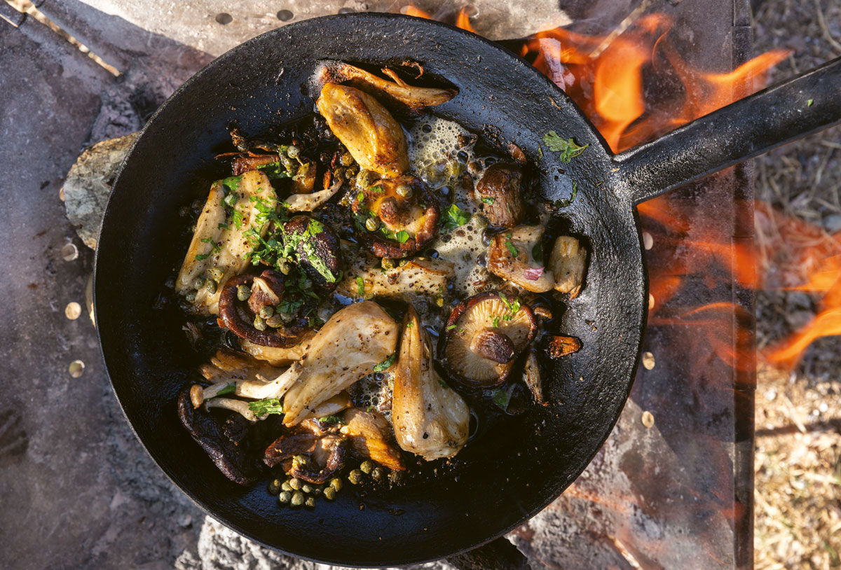 Pan-fired exotic mushrooms with braaied garlic bread 