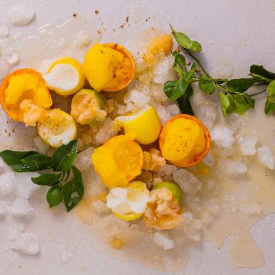 Lemonade sorbet citrus cups